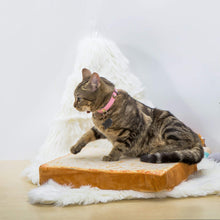 Load image into Gallery viewer, Bread Slice Cat Bed - Gifteee Unique & Unusual gifts, Cool gift ideas