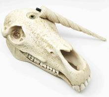 Load image into Gallery viewer, Unicorn Skull Statue - Gifteee Unique & Unusual gifts, Cool gift ideas