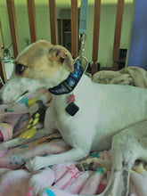 Load image into Gallery viewer, AutoSlide Smart Tag Pet Door System - Gifteee Unique & Unusual gifts, Cool gift ideas