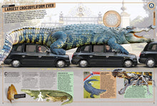 Load image into Gallery viewer, Guinness World Records 2020 - Gifteee Unique & Unusual gifts, Cool gift ideas