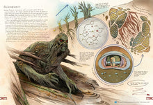 Load image into Gallery viewer, DC Superheros Comics: Anatomy of a Metahuman - Gifteee Unique & Unusual gifts, Cool gift ideas