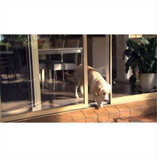 Load image into Gallery viewer, AutoSlide Smart Tag Pet Door System - Gifteee Unique & Unusual gifts, Cool gift ideas