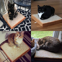 Load image into Gallery viewer, Bread Slice Cat Bed - Gifteee Unique & Unusual gifts, Cool gift ideas