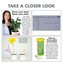 Load image into Gallery viewer, Prank Pack "Plant Urinal" - Gifteee Unique & Unusual gifts, Cool gift ideas