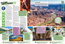 Load image into Gallery viewer, Guinness World Records 2020 - Gifteee Unique & Unusual gifts, Cool gift ideas