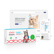 Load image into Gallery viewer, Cat DNA Test - The Whole Genome Sequencing - Gifteee Unique & Unusual gifts, Cool gift ideas