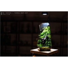 Load image into Gallery viewer, The Vertex ZERO (S) - Heart of Forest by Terraliving - Gifteee Unique & Unusual gifts, Cool gift ideas