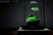 Load image into Gallery viewer, The Vertex ZERO (S) - Heart of Forest by Terraliving - Gifteee Unique & Unusual gifts, Cool gift ideas