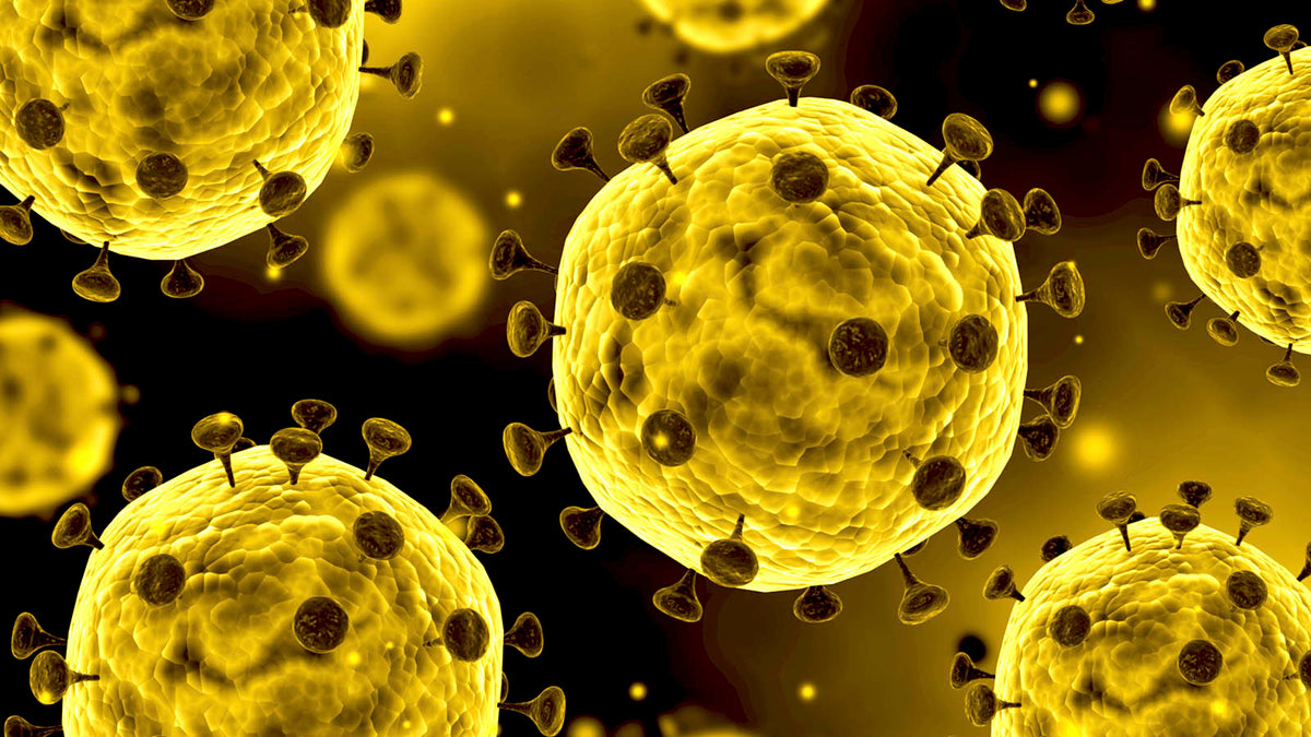 Best products to help protect your family from the Coronavirus (Covid-19) outbreak