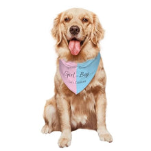 Load image into Gallery viewer, Gender Reveal Dog Bandana – "Boy or Girl" Pet Photo Prop
