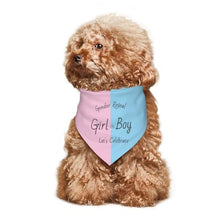 Load image into Gallery viewer, Gender Reveal Dog Bandana – "Boy or Girl" Pet Photo Prop
