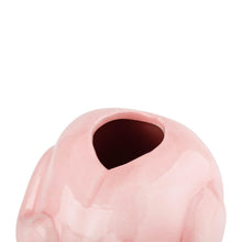 Load image into Gallery viewer, Raw Chicken Vase – Funny Pink Ceramic Planter Gag Gift
