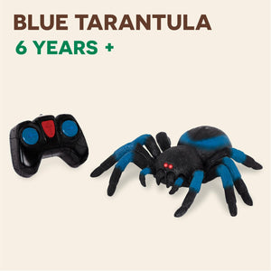 Remote Control Spider Toy - Gifteee Unique & Unusual gifts, Cool gift ideas