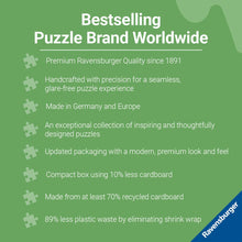 Load image into Gallery viewer, Bizarre Bookshop 2 Puzzle – 1000-Piece Ravensburger Jigsaw
