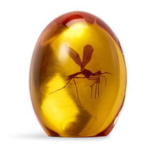 Load image into Gallery viewer, Amber Mosquito Resin Prop Paperweight – 3&quot;
