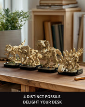 Load image into Gallery viewer, Mini Dinosaur Fossil Building Kit – 4-Pack Desk Models
