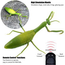 Load image into Gallery viewer, RC Praying Mantis Toy - Gifteee Unique &amp; Unusual gifts, Cool gift ideas
