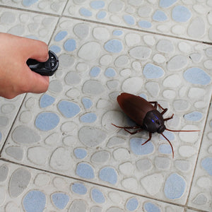 RC Cockroach Toy - Gifteee Unique & Unusual gifts, Cool gift ideas