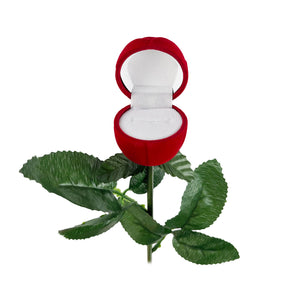 Long-Stem Red Rose Jewelry Box – Ring or Earring Case
