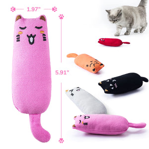 Bite Resistant Catnip Toy for Cats