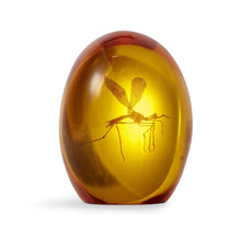 Load image into Gallery viewer, Amber Mosquito Resin Prop Paperweight – 3&quot;
