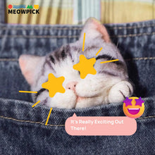 Load image into Gallery viewer, Needle Felting Cat Kit – Realistic DIY Craft for Beginners
