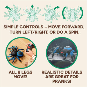 Remote Control Spider Toy - Gifteee Unique & Unusual gifts, Cool gift ideas