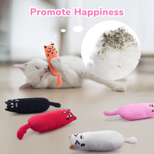Bite Resistant Catnip Toy for Cats