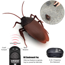 Load image into Gallery viewer, RC Cockroach Toy - Gifteee Unique &amp; Unusual gifts, Cool gift ideas
