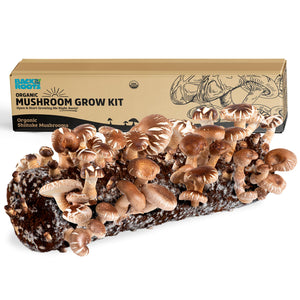 Back to the Roots Shiitake Mushroom Grow Kit