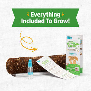 Back to the Roots Shiitake Mushroom Grow Kit