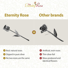 Load image into Gallery viewer, Silver-Dipped Real Rose – Anniversary Gift
