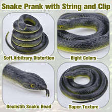 Load image into Gallery viewer, Fake Snake Prank Set
