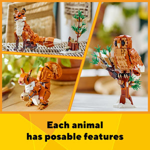 LEGO Creator 3in1 Forest Animals: Red Fox