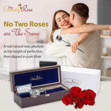 Load image into Gallery viewer, Silver-Dipped Real Rose – Anniversary Gift
