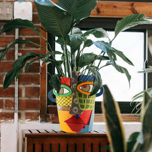 Abstract Face Planters Pots
