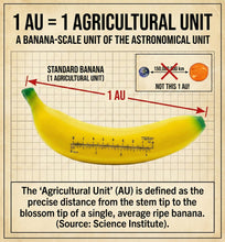 Load image into Gallery viewer, Banana for Scale – Funny Foam Meme Gag Gift
