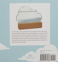Load image into Gallery viewer, Storm Cloud Weather Predictor – Decorative Barometer

