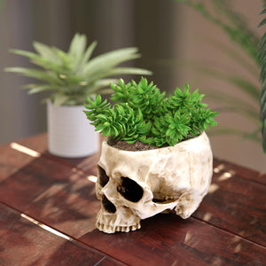 Skull-Shaped Resin Planter or Candy Bowl - Gothic Home Decor