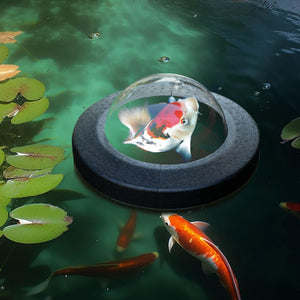 Floating Pond Fish Dome - Gifteee Unique & Unusual gifts, Cool gift ideas