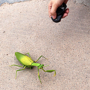 RC Praying Mantis Toy - Gifteee - Unique Gifts | Cool Gift Ideas for Kids, Men and Women