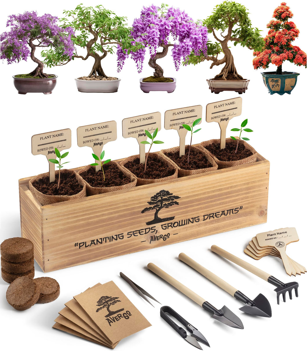 AVERGO Bonsai Tree Starter Kit