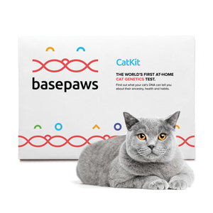 Cat DNA Test - The Whole Genome Sequencing