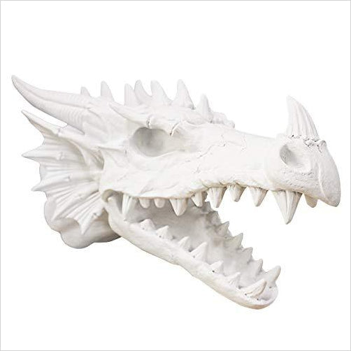 Large Dragon Skull - Gifteee Unique & Unusual gifts, Cool gift ideas