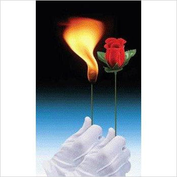 Torch to Rose Magic Trick - Gifteee Unique & Unusual gifts, Cool gift ideas