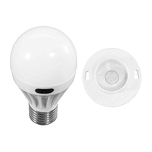 Portable Wireless LED Light Bulb