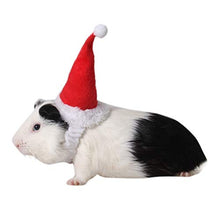 Load image into Gallery viewer, Hamster Santa Hat - Gifteee. Find cool &amp; unique gifts for men, women and kids
