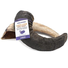 Load image into Gallery viewer, Large Lamb Horn Dog Chew - Gifteee Unique &amp; Unusual gifts, Cool gift ideas
