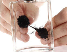 Load image into Gallery viewer, Ferrofluid Magnetic Display

