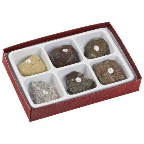 Moon Rock Kit - Gifteee Unique & Unusual gifts, Cool gift ideas